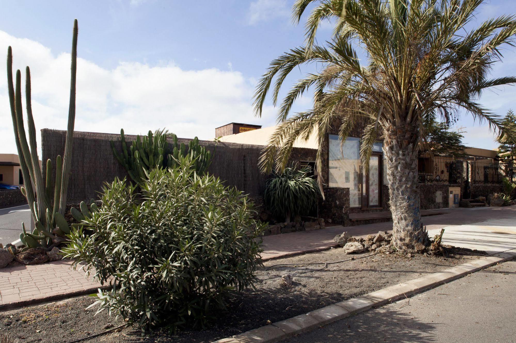 Apartamentos Laurisilva Corralejo Eksteriør bilde